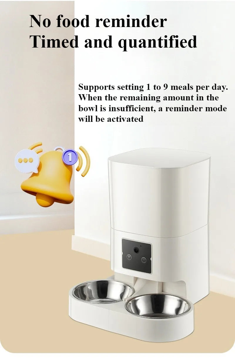 Programmable Timed Dry Food Dispenser for Cats & Small Dogs