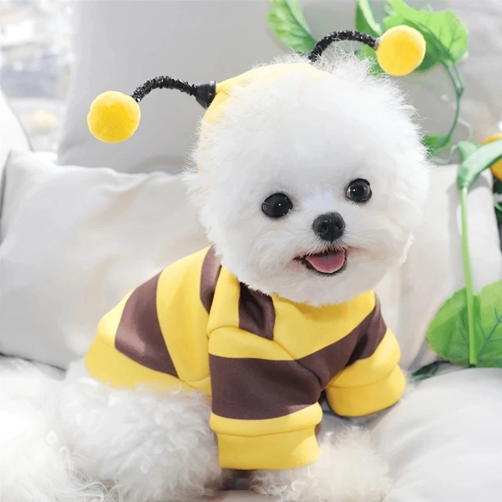 Cute Bumble Bee Dog & Cat Costume Hoodie