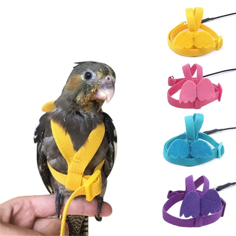 Parrot Training Harness & Anti-Bite Leash Set