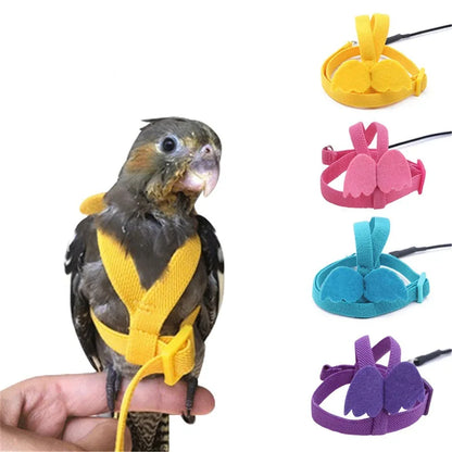 Parrot Training Harness & Anti-Bite Leash Set