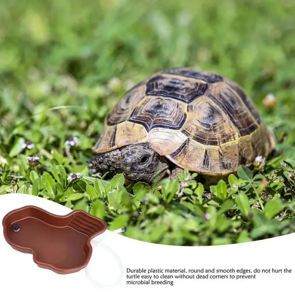 Reptile Bathing Pool with Ramp