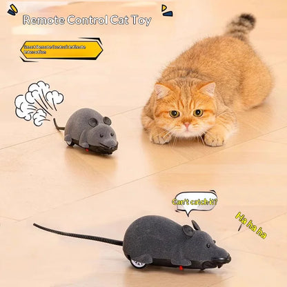 Remote Control Mouse Cat Toy