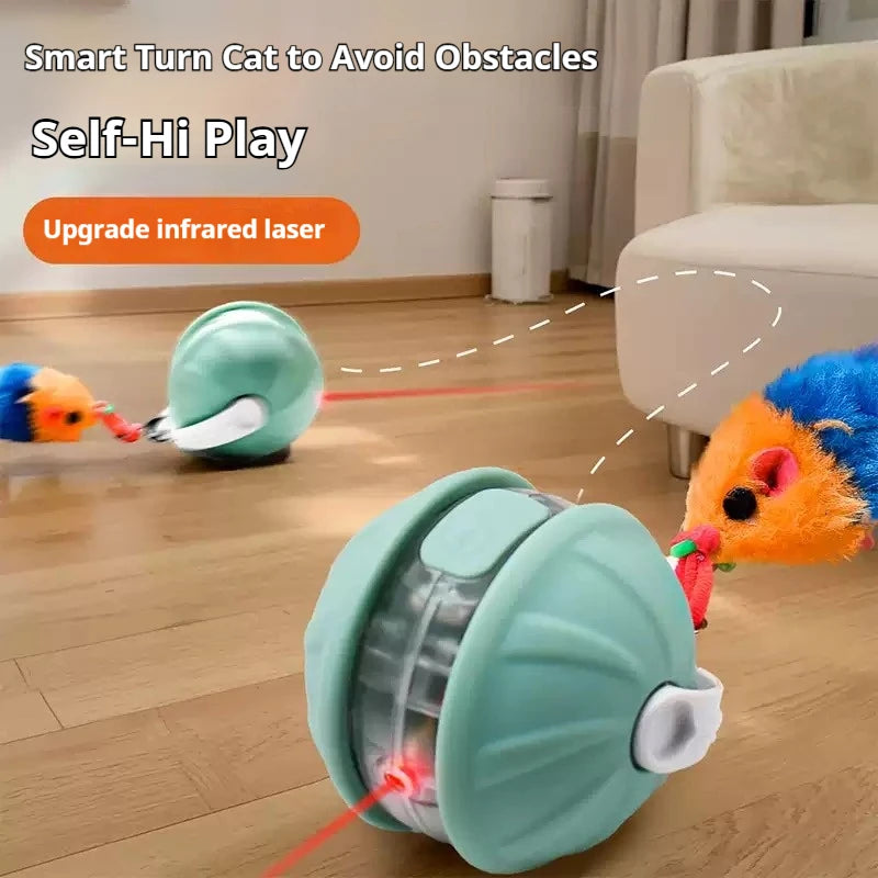 Interactive Rechargeable Rolling Pet Ball Toy
