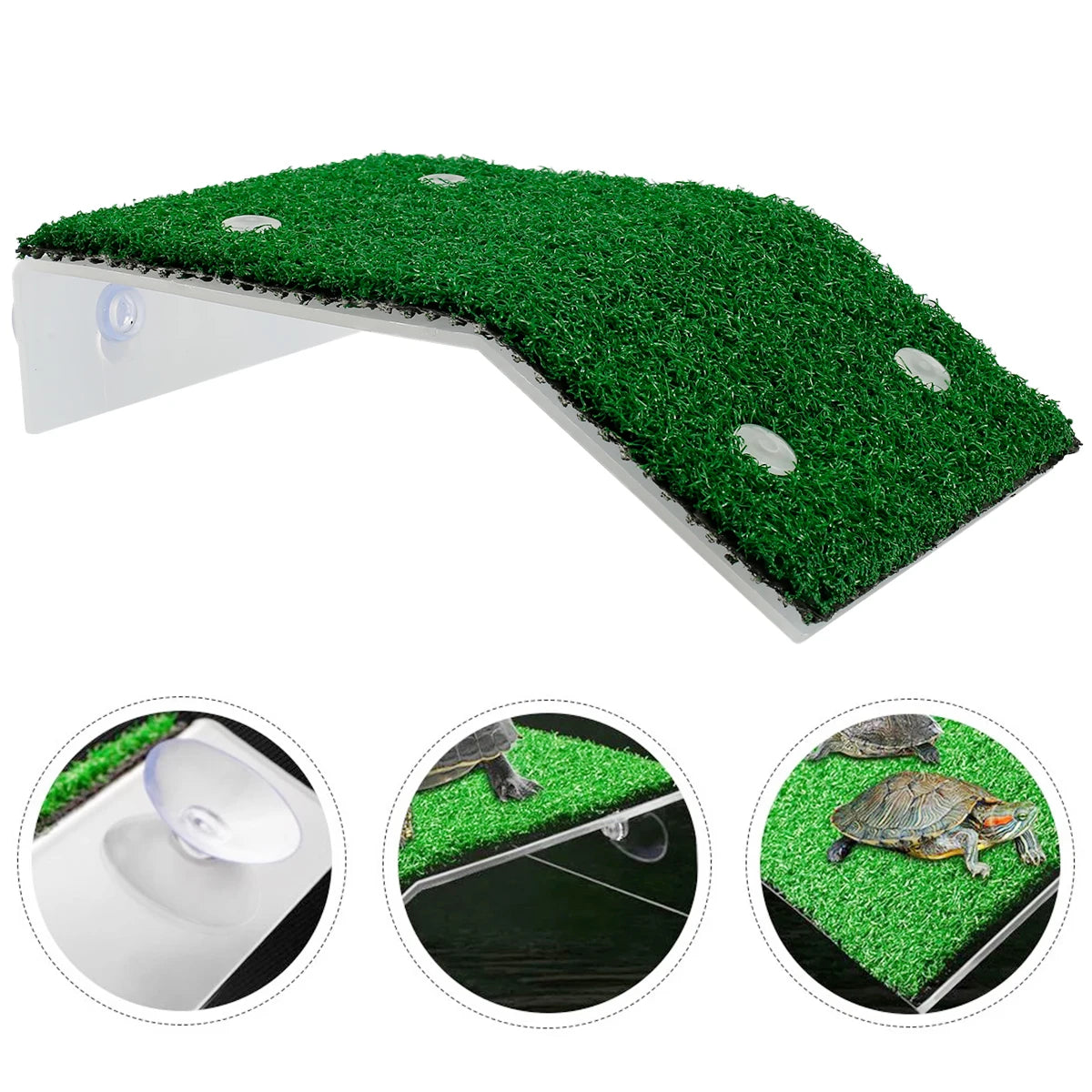 Turtle Basking Platform with Grass Ramp
