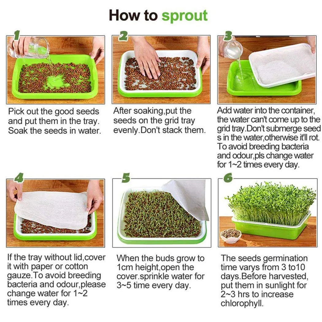 Microgreens Sprouting Tray