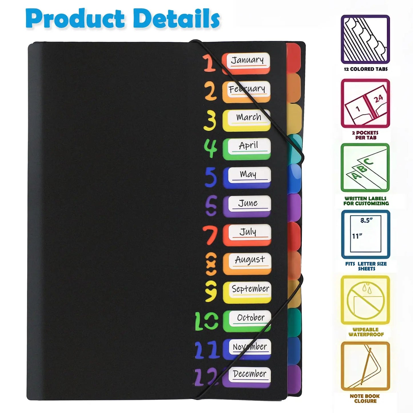 A4 Expanding File Folder with 12 Colour Tabs