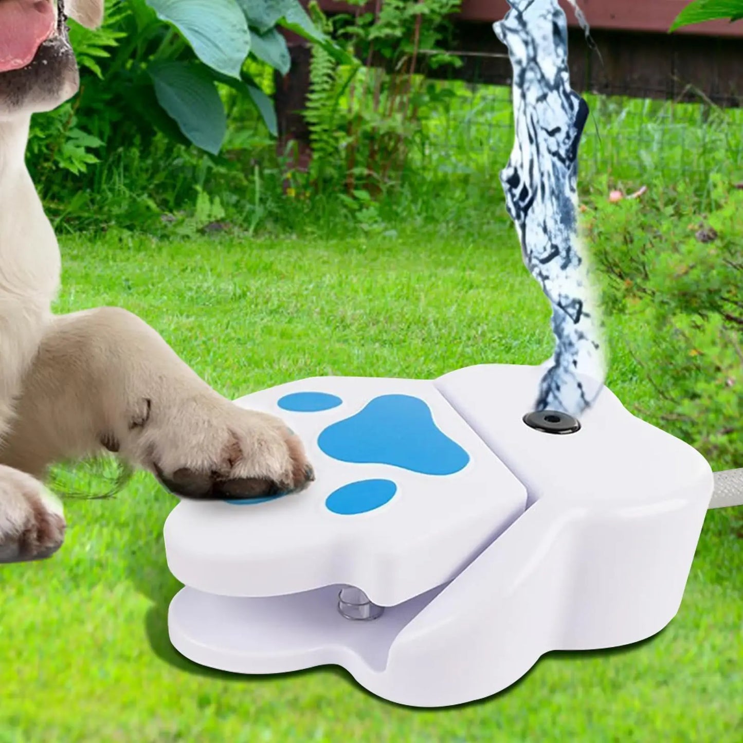 Paw Activated Outdoor Dog Water Fountain