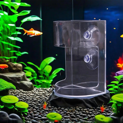 Transparent Aquarium Feeding Ring & Food Dish