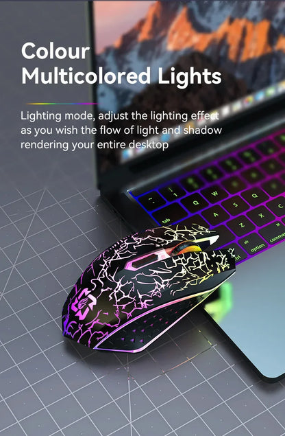 Silent RGB Wireless Gaming Mouse with Type-C Charging