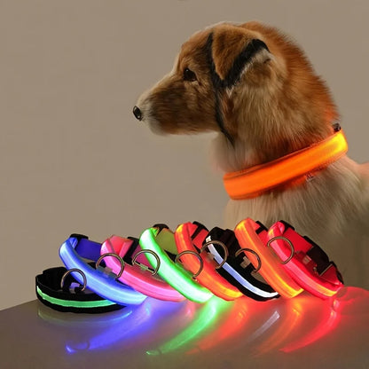 LED Flashing Dog Collar