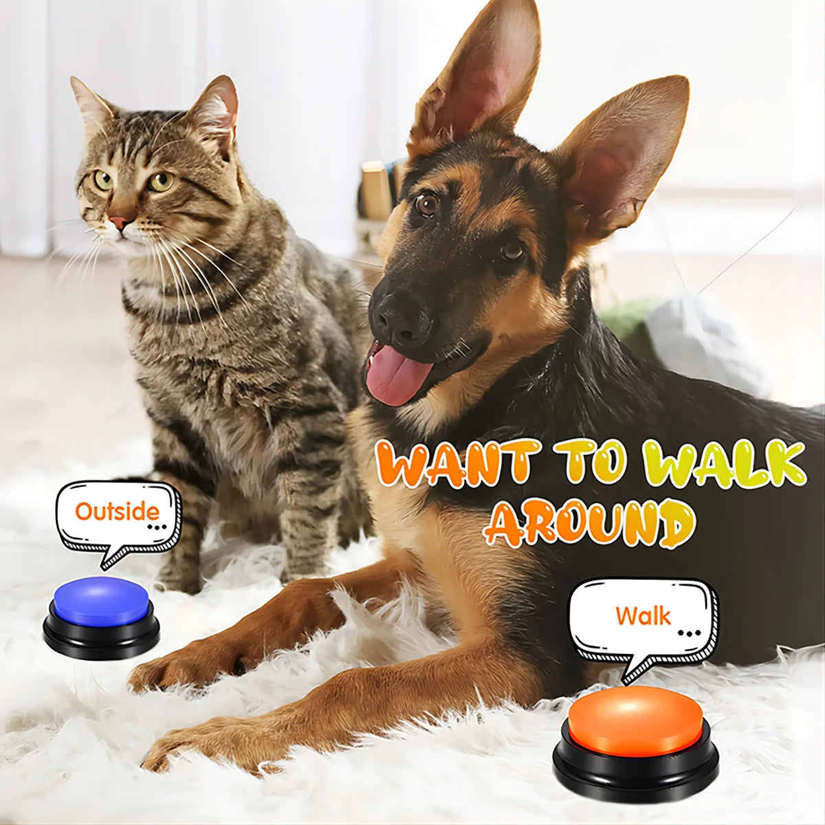 Recordable Pet Training Buttons