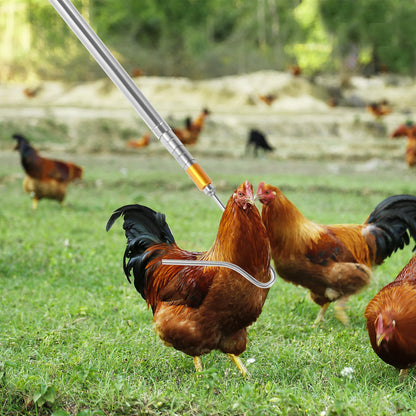 Retractable Chicken Catcher Set – Poultry Leg Hook & Net
