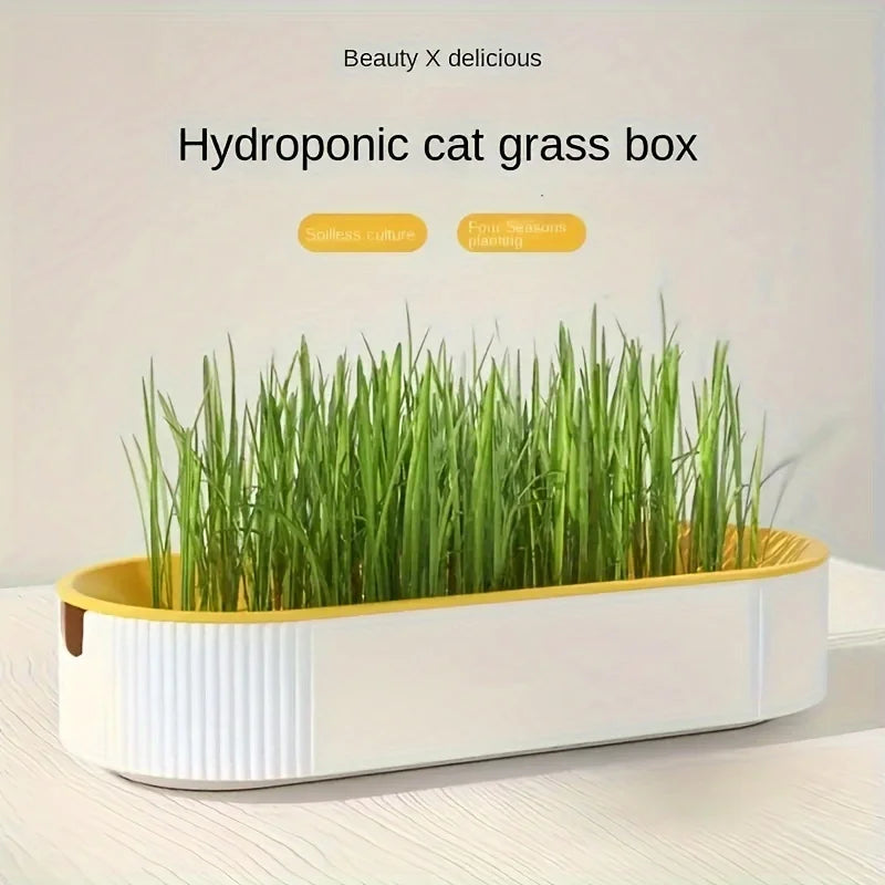 Practical Household Accessory – Hydroponic Cat Grass Box