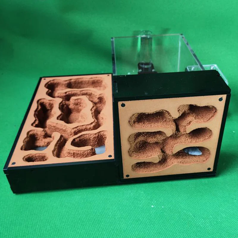 Large Acrylic Ant Farm with Gypsum Nest & Observation Arena