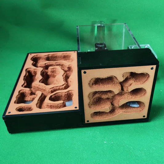 Large Acrylic Ant Farm with Gypsum Nest & Observation Arena