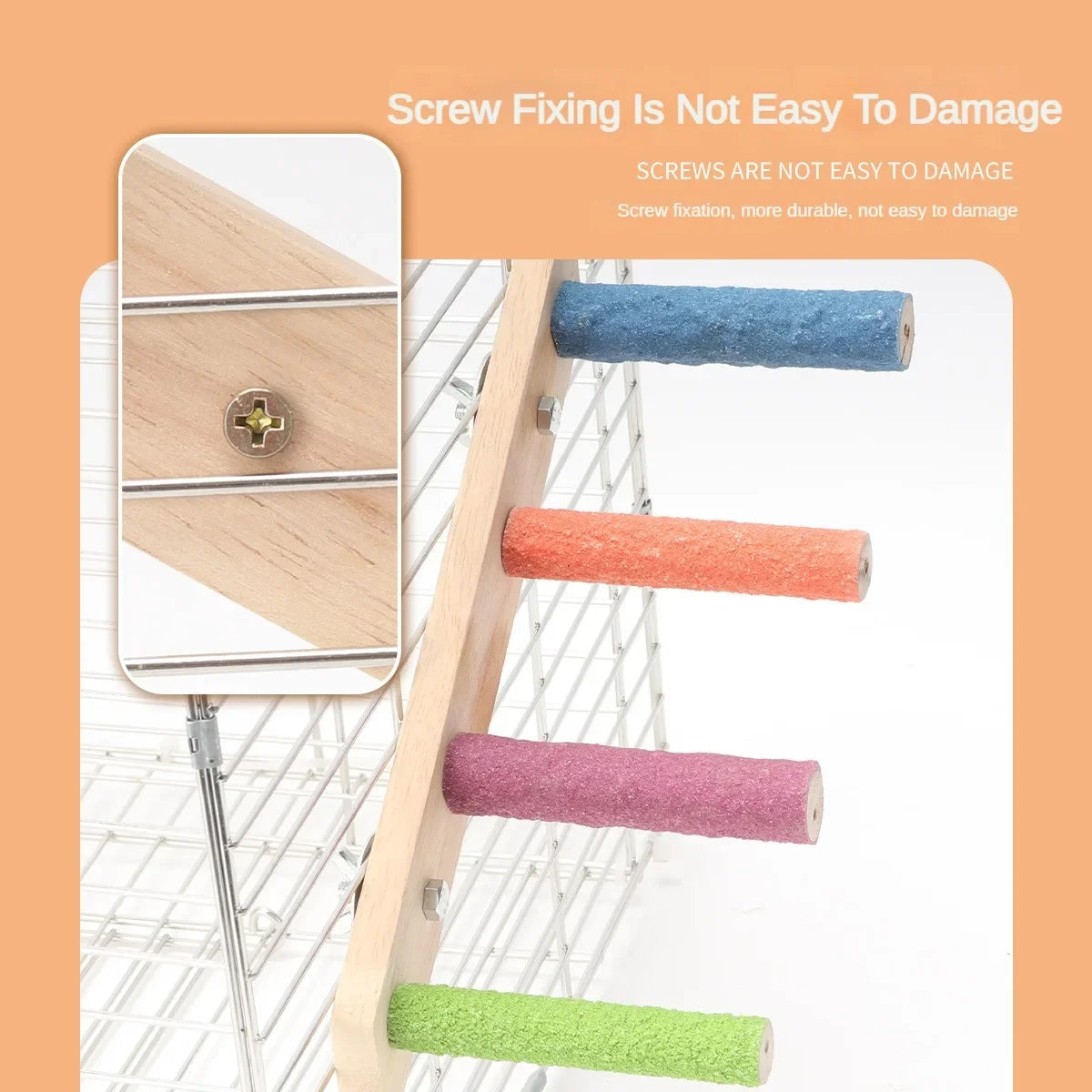 Bird Climbing Ladder