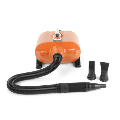 Professional 3000W Pet Grooming Dryer
