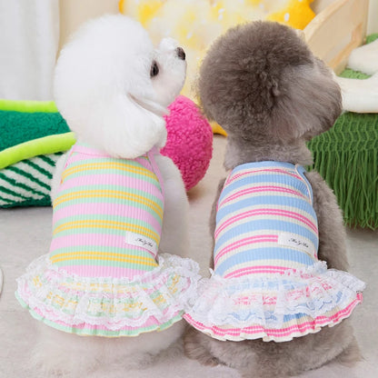 Striped Summer Dog Dress with Lace Skirt