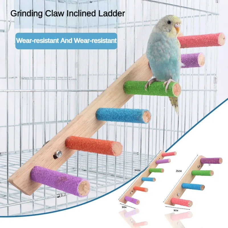 Bird Climbing Ladder