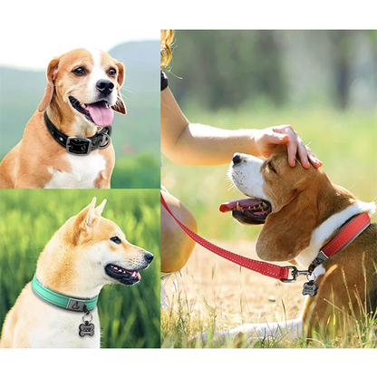 Reflective Padded Dog Collar