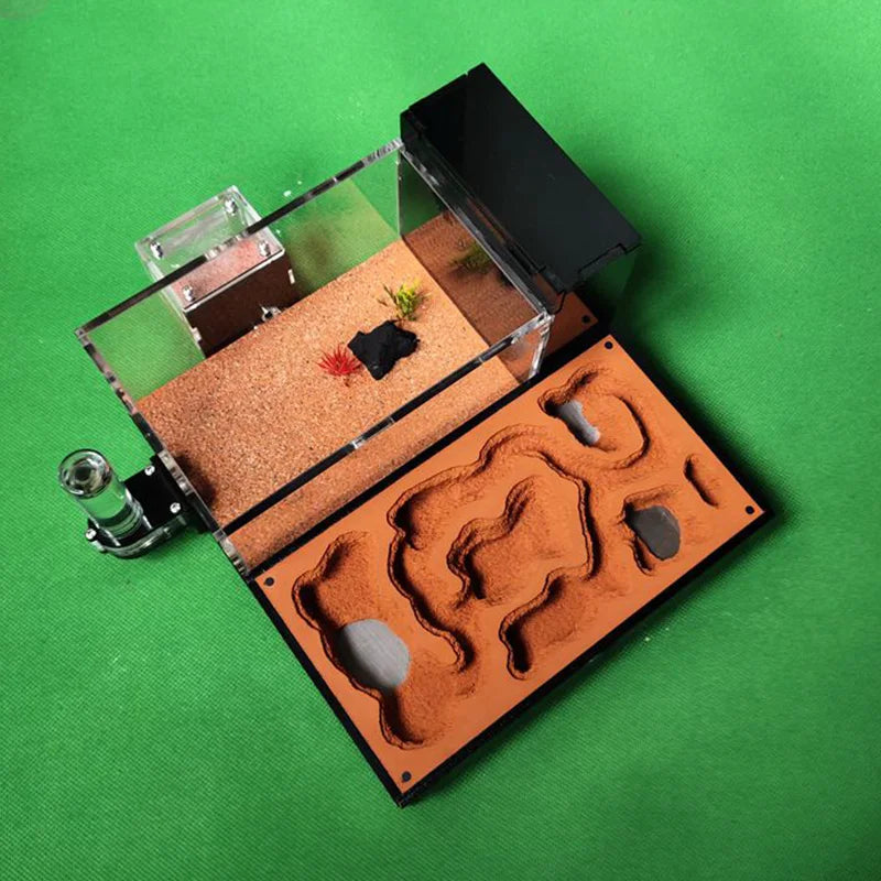 Large Acrylic Ant Farm with Gypsum Nest & Observation Arena
