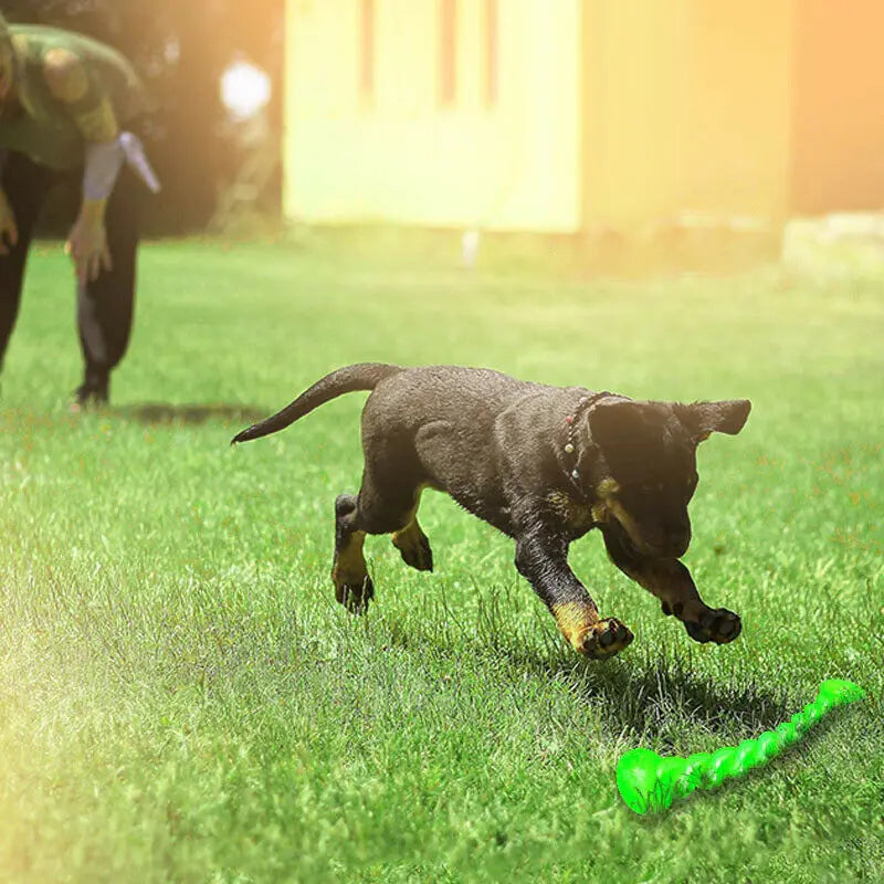 Durable Rubber Molar Chew Stick