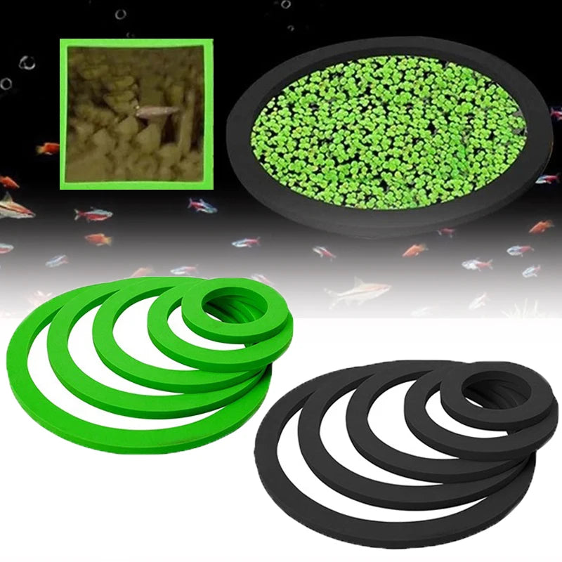Aquarium Floating Plant & Feeding Ring Set