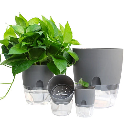 Self-Watering Hydroponic Plant Pot