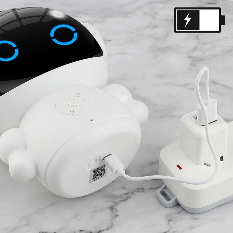 AI Educational Companion Robot