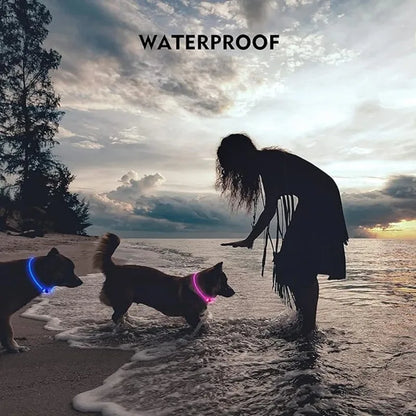 LED Light Up Dog Collar with USB Charging