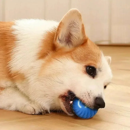 Automatic Interactive Dog Toy Ball