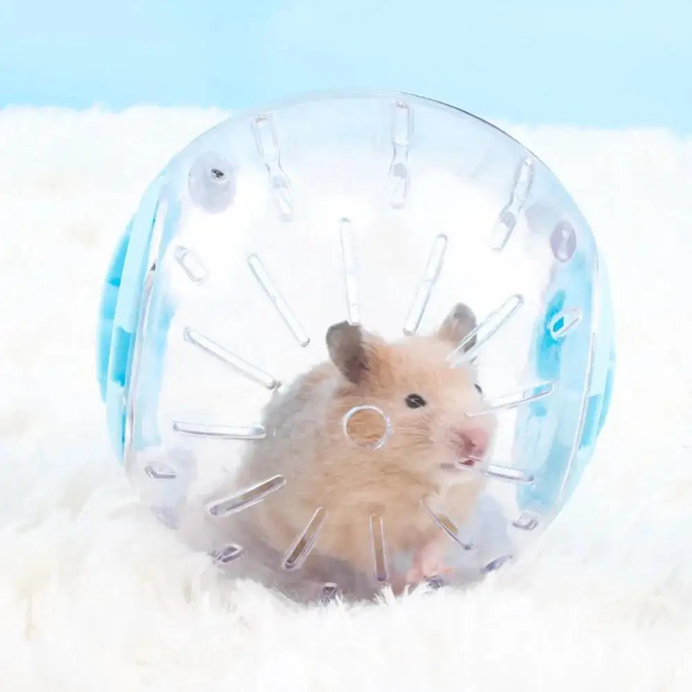 Transparent Small Pet Exercise Ball