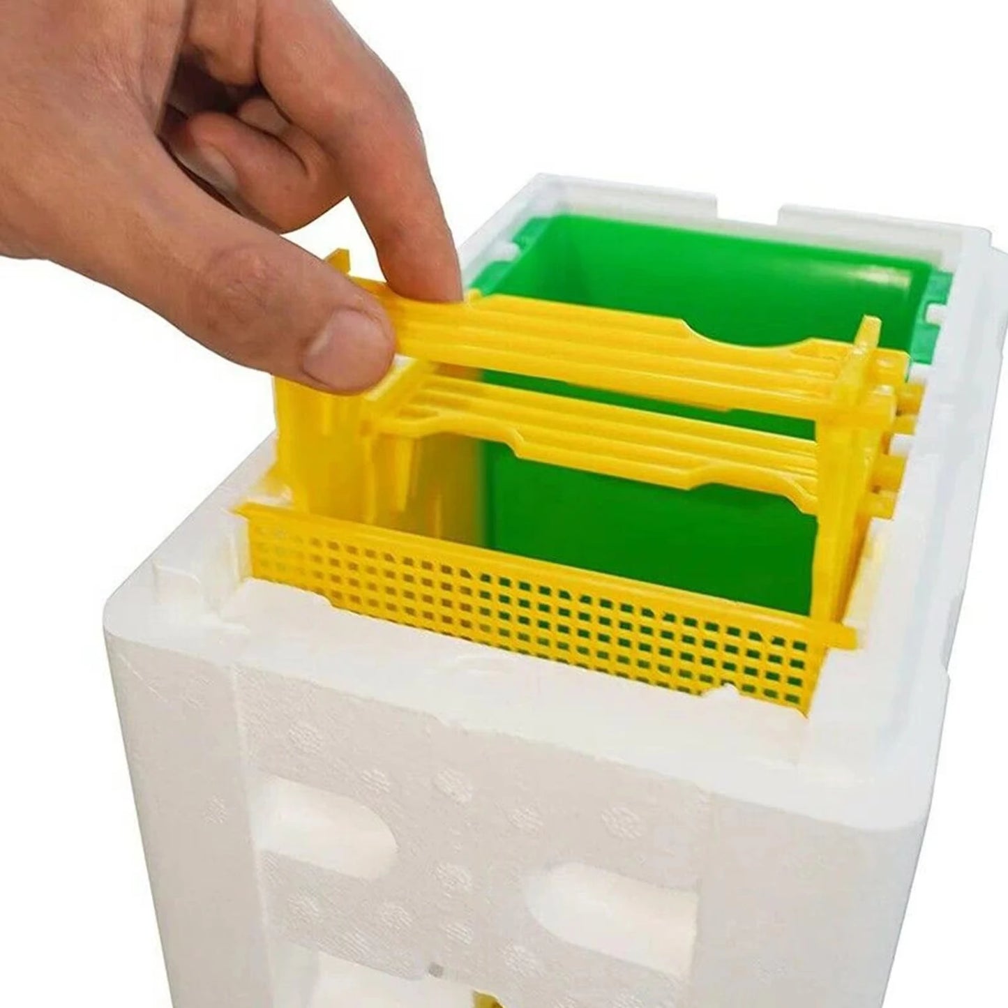 Queen Bee Breeding & Mating Hive Box