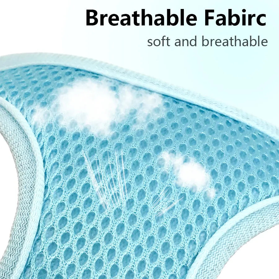 Breathable Mesh Dog Harness & Leash Set