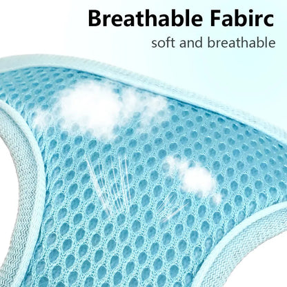 Breathable Mesh Dog Harness & Leash Set