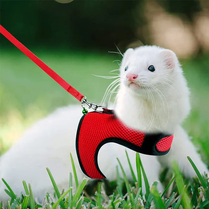Breathable Small Pet Harness & Leash Set