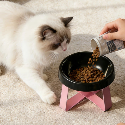 Elevated Anti-Spill Pet Food Bowl for Cats