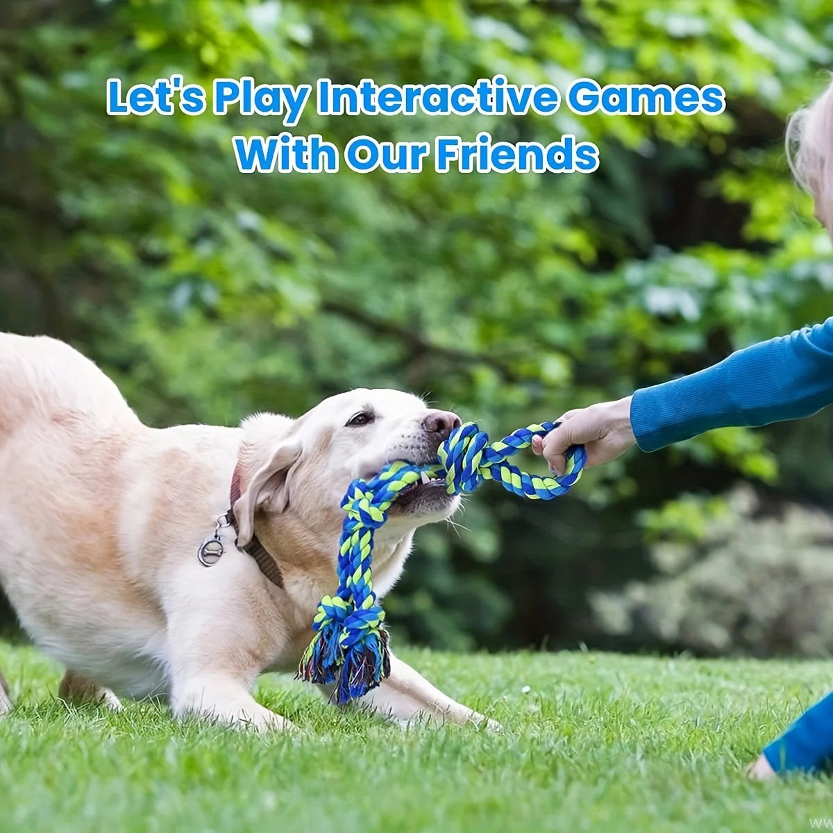 Knot Rope Dog Chew Toy