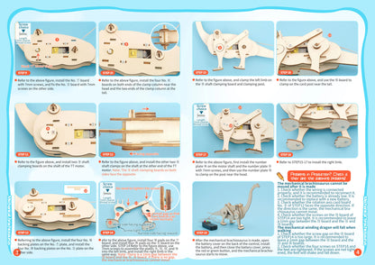 DIY Science Toys