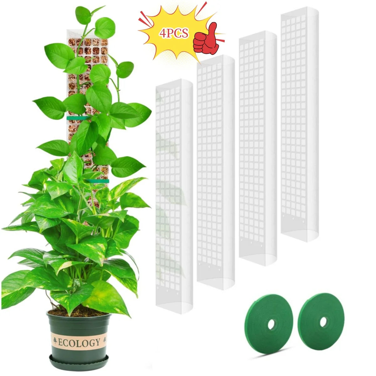 Transparent Plant Moss Pole Support