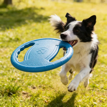EVA Dog Flying Disc Fetch Toy