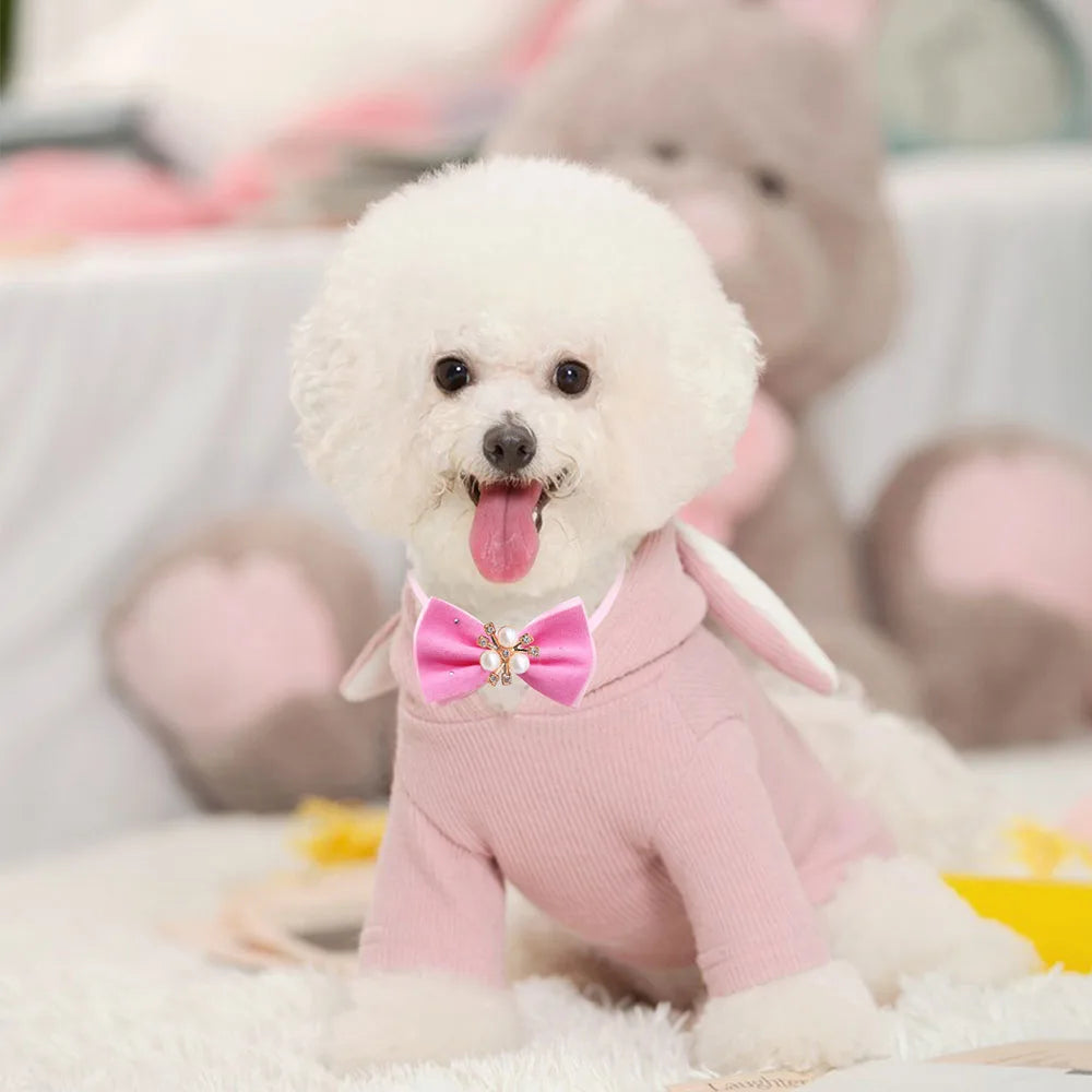 Winter Dog Bowtie Set with Diamond Design