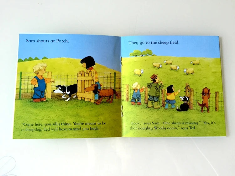 20 Usborne English Picture Books