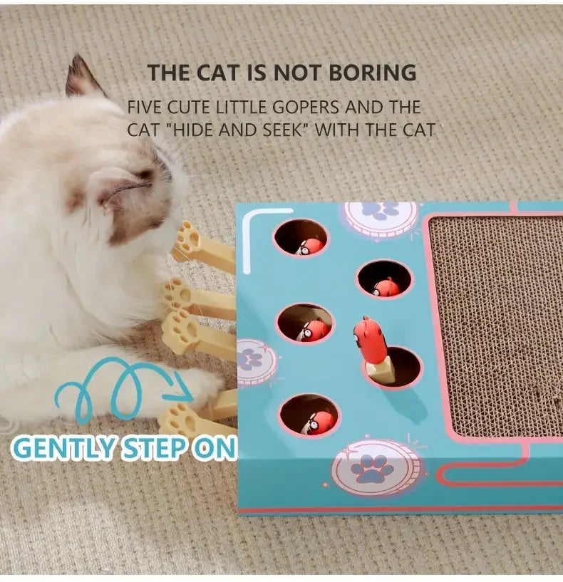Interactive Pop-Up Cat Scratcher & Puzzle Toy