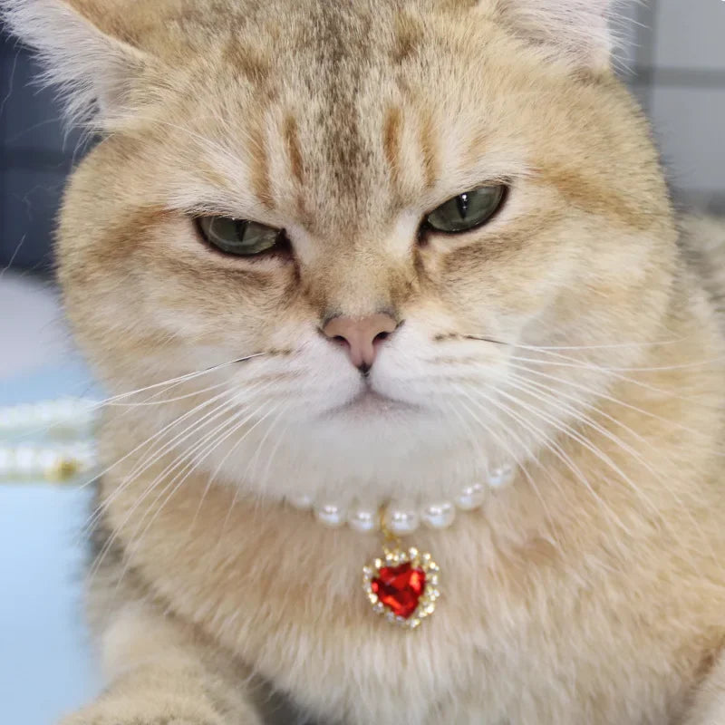 Pearl Pet Necklace Collar