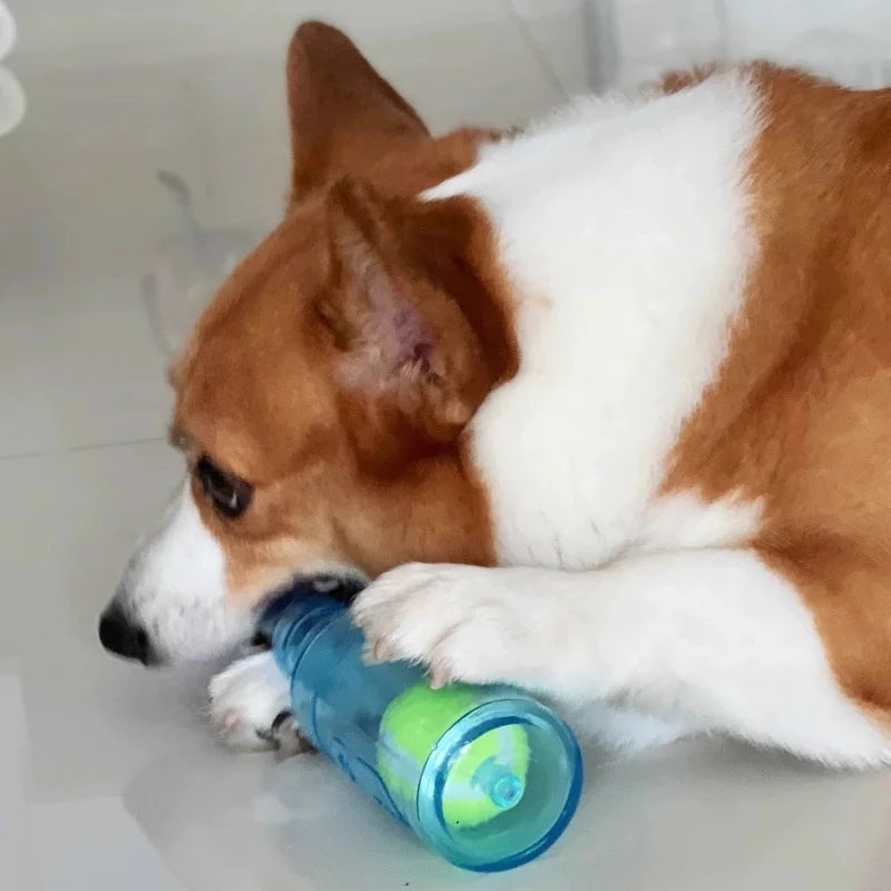 Dog TPR Beer Bottle Chew Toy with Tennis Ball