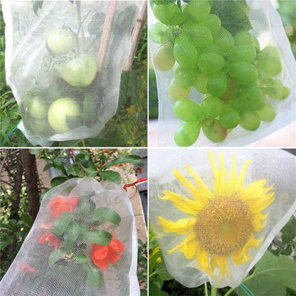 Fruit Protection Grow Bags