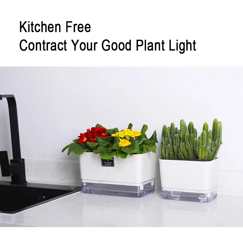 Self-Watering Plant Pot