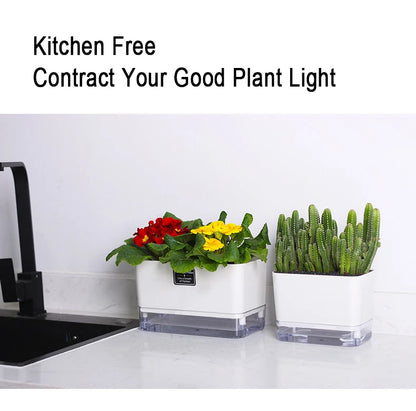 Self-Watering Plant Pot