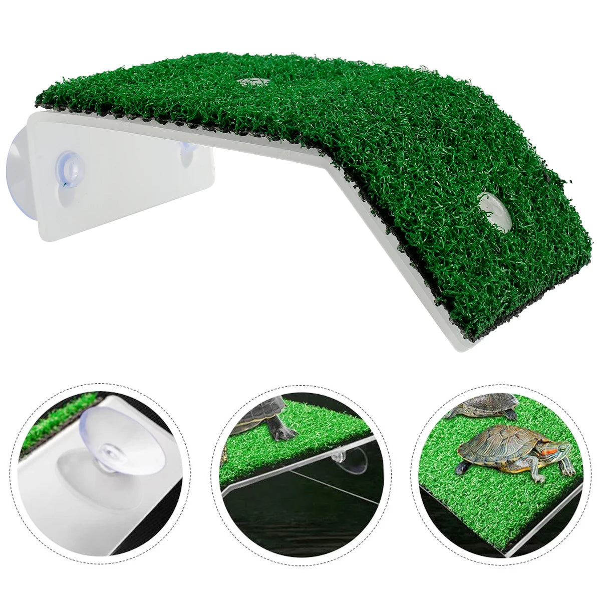 Turtle Basking Platform Ramp